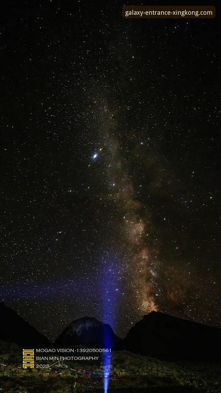 资深用户分享星空入口平台使用心得：从官网登录到高效体验的全流程实战